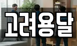 고려용달
