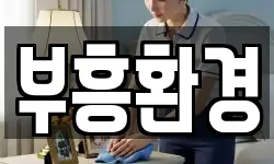 부흥환경