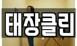 태장클린
