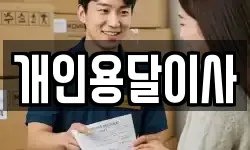 개인용달이사