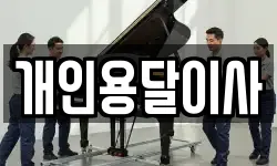 개인용달이사