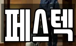 페스텍