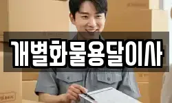 개별화물용달이사