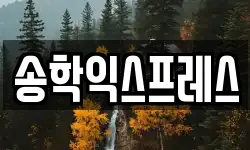송학익스프레스