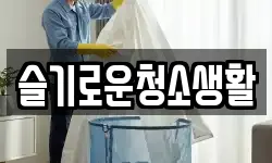 슬기로운청소생활