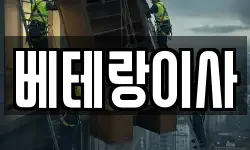 베테랑이사