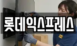 롯데익스프레스