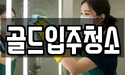 골드입주청소