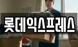 롯데익스프레스