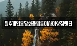 원주개인용달화물원룸이사이삿짐센타