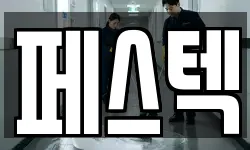 페스텍