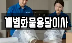 개별화물용달이사