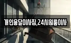 개인용달이사짐,24시원룸이사