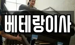 베테랑이사