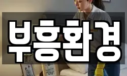 부흥환경