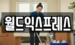 월드익스프레스