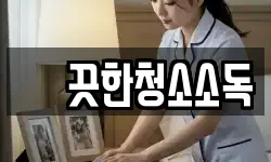 꺠끗한청소소독
