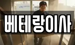 베테랑이사