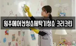 원주에어컨청소세탁기청소 크리크린