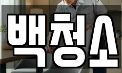 백청소