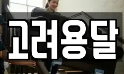 고려용달