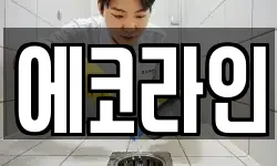 에코라인