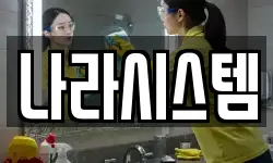 나라시스템