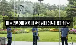 매트리스소파청소패브릭침대진드기쇼파세탁