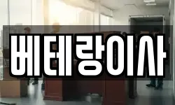 베테랑이사