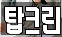 탑크린