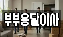 부부용달이사