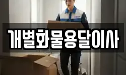 개별화물용달이사