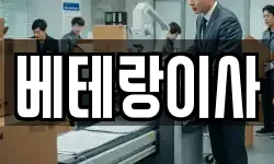 베테랑이사