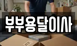 부부용달이사