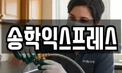송학익스프레스