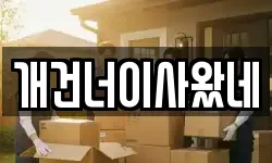 개건너이사왔네