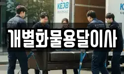 개별화물용달이사