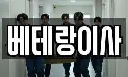 베테랑이사