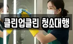 클린업클린 청소대행