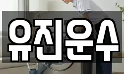 유진운수