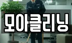 모아클리닝