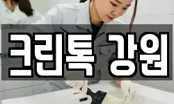 크린톡 강원