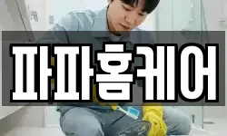 파파홈케어