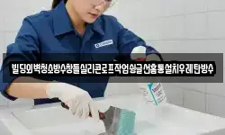 빌딩외벽청소방수창틀실리콘로프작업슁글선홈통설치우레탄방수