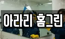 강원 정선군 정선읍 청소,입주청소,사무실청소,에어컨청소