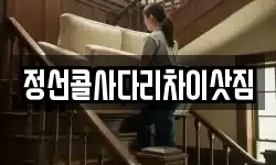 강원 정선군 정선읍 이사,용달이사,포장이사,원룸이사,보관이사
