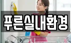 푸른실내환경