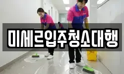 미세르입주청소대행