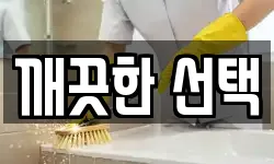 깨끗한 선택