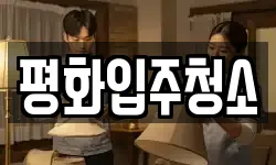 평화입주청소